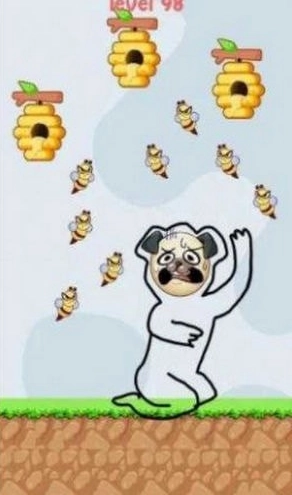 宠物狗救援1