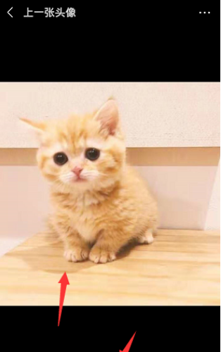 微信頭像的圣誕帽怎么去掉