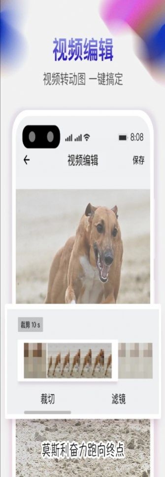 天天去水印app