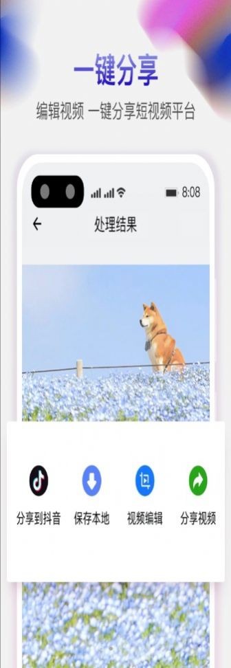 天天去水印app