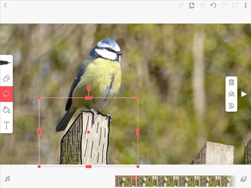 flipaclip动画制作app最新版20