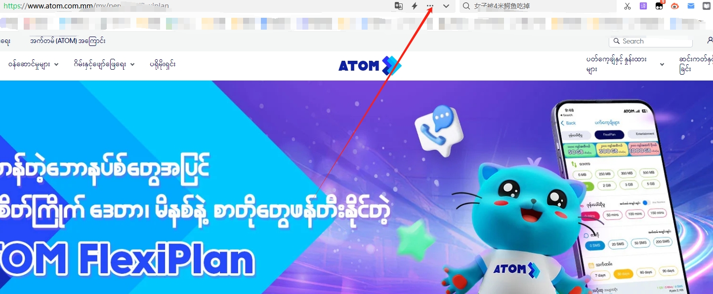 ATOM Store