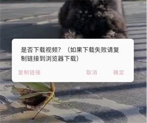 share微博破解版使用教程6