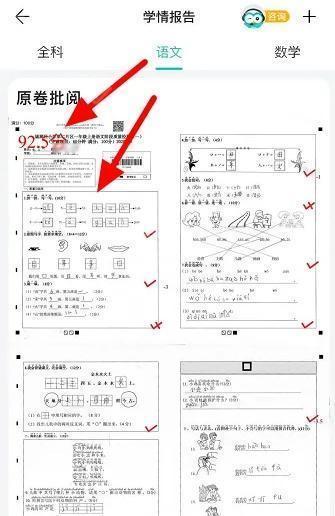 智学网