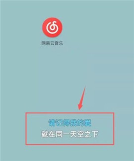 网易云音乐精简版可登录