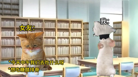 猫meme搞怪冒险