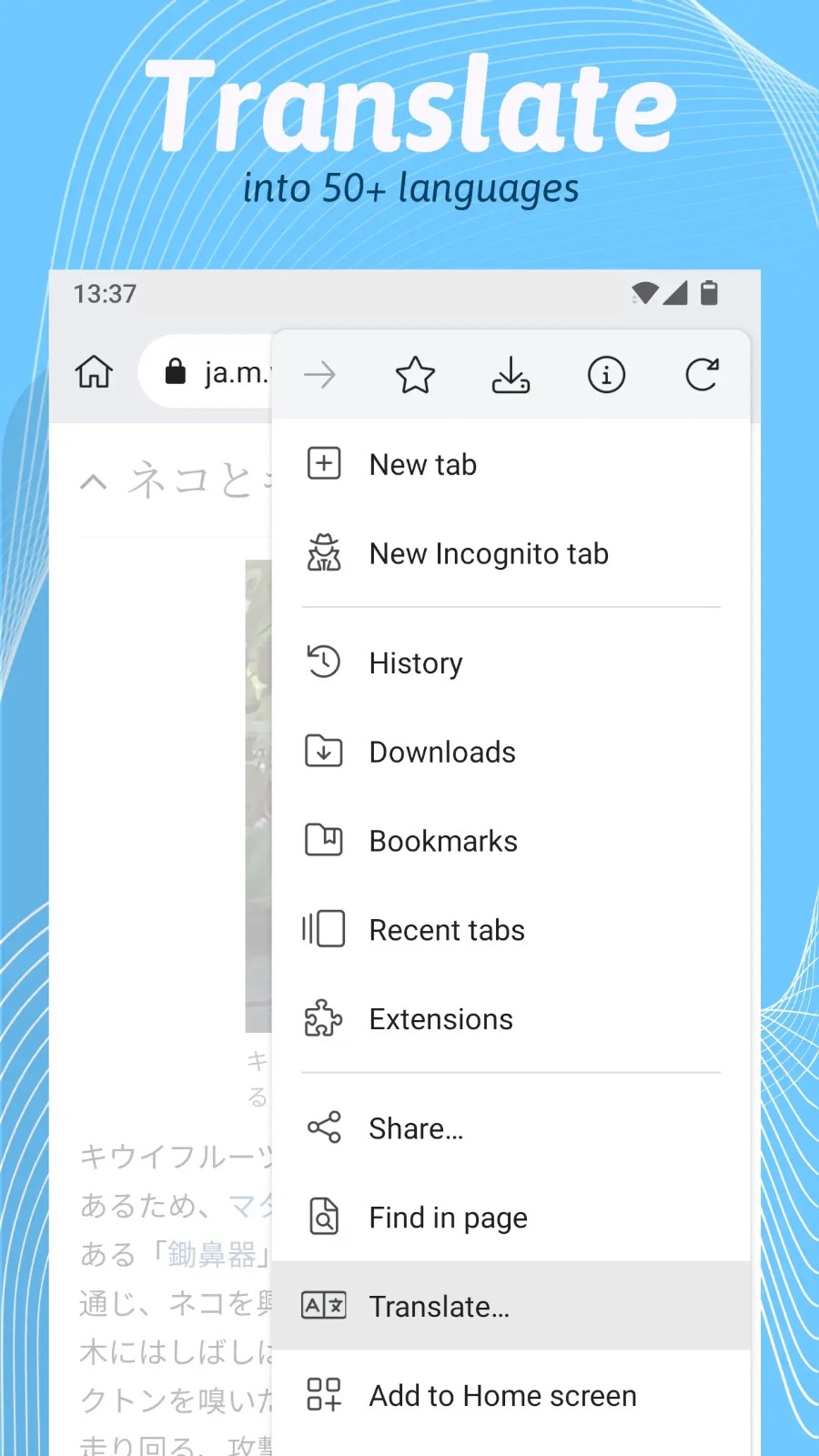 kiwibrowser