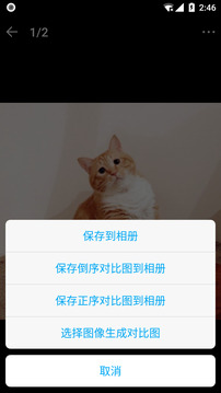 猫咪成长记