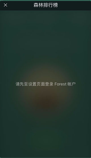 forest专注森林