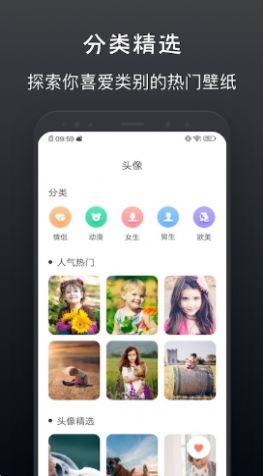 灵猫主题壁纸app截图2