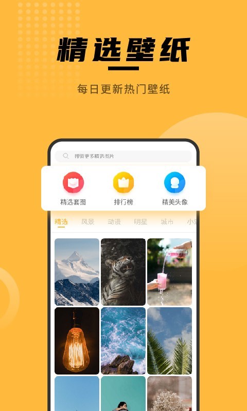 壁纸大全最新版截图3