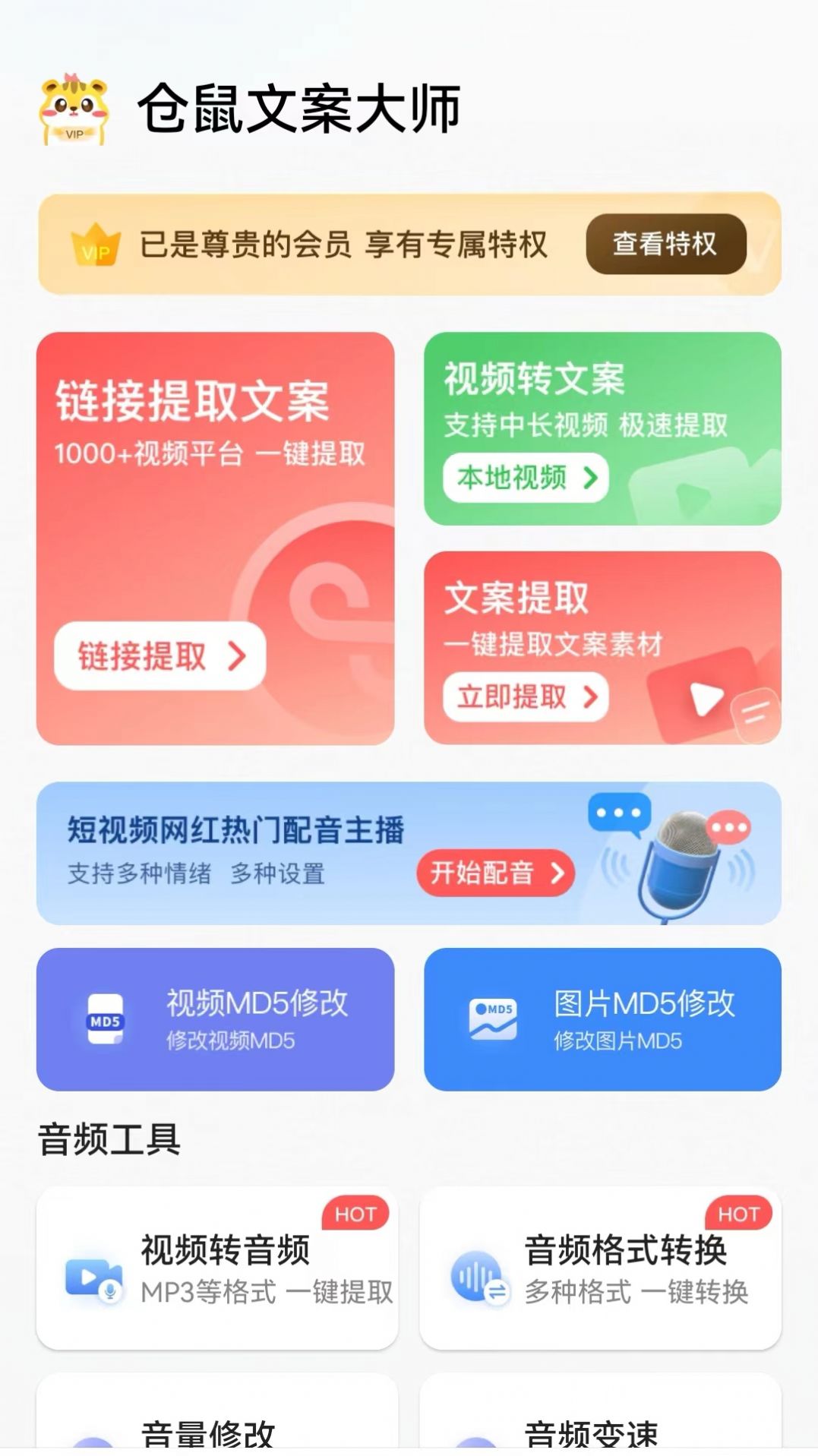 仓鼠文案大师安卓版截图2