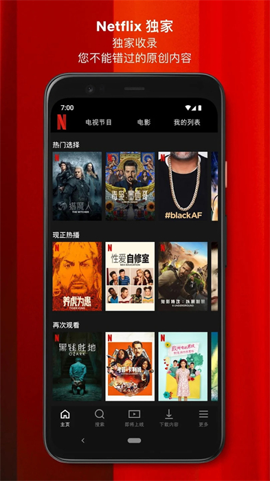 Netflix app截图2