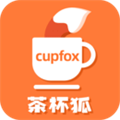 茶杯狐cupfox2024版