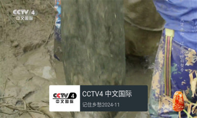 我的电视TV版截图2