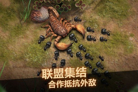 小小蚁国无限金币版截图1