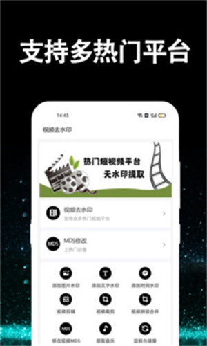 视频提取大师app截图1