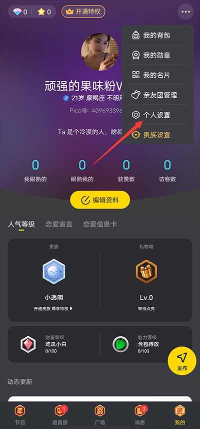 PicoPico极速版截图1