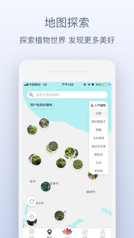 花伴侣-1 花伴侣