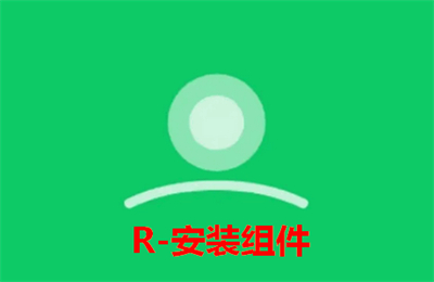 R安装组件