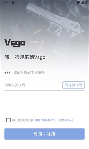 Vsgo截图1