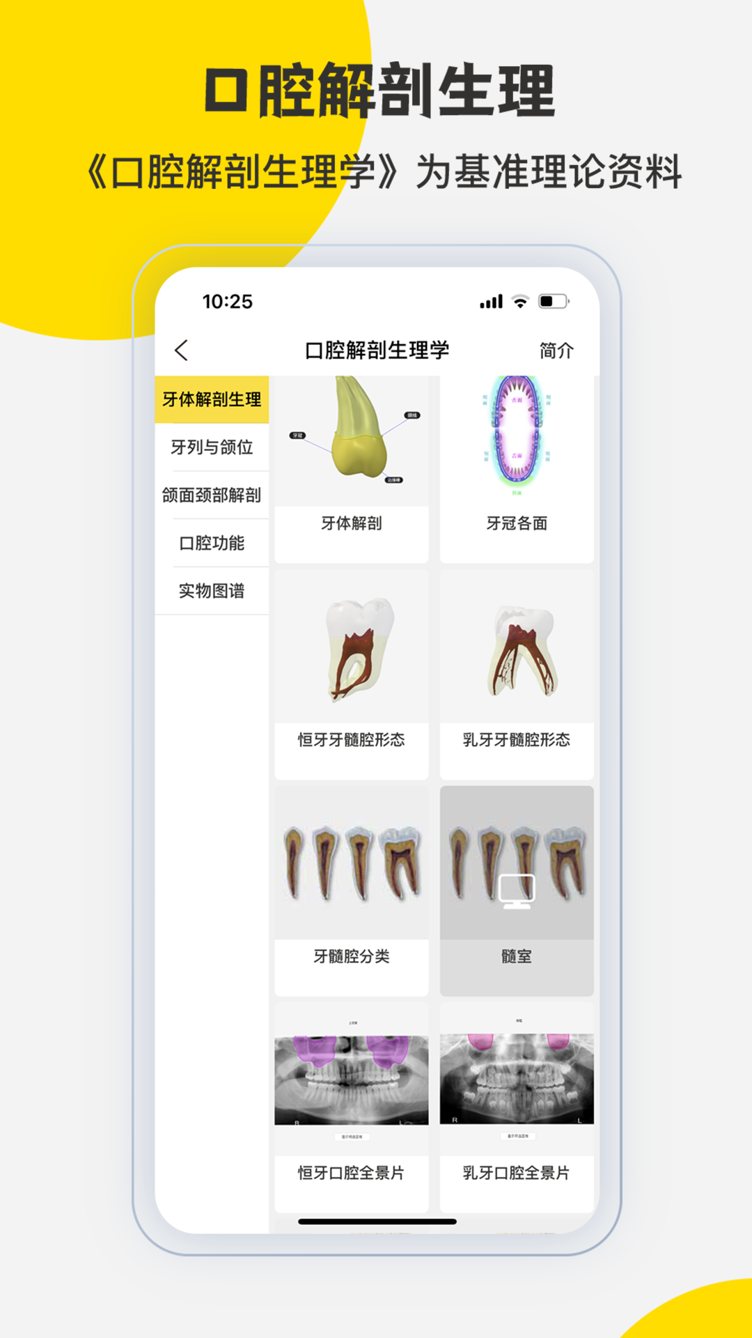 3Dbody解剖截图3