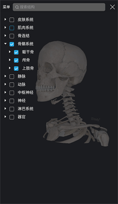 3Dbody解剖