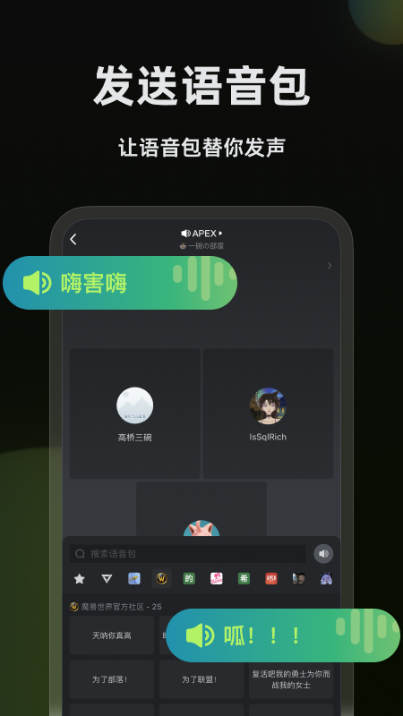 黑盒语音截图1