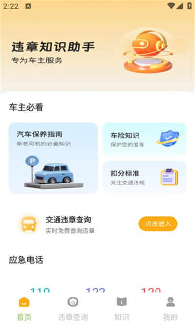 智慧查违章截图4