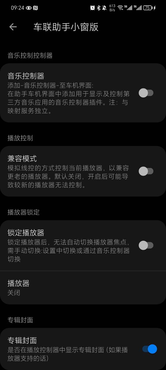 车联助手小窗版截图3