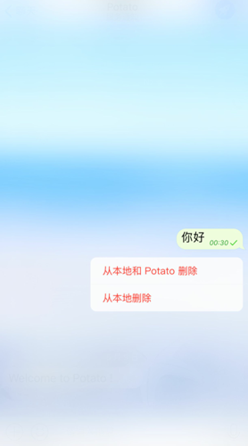 potatochat