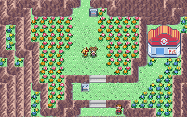 PokeMMO5