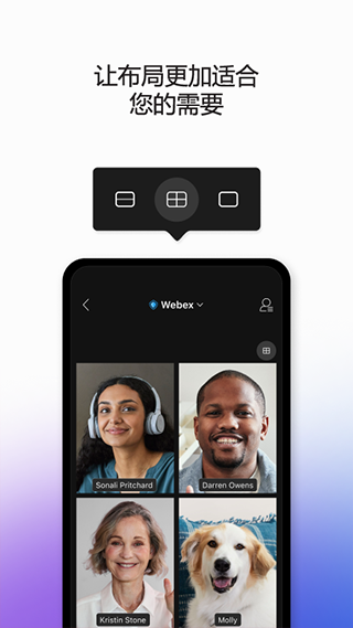 Webex3