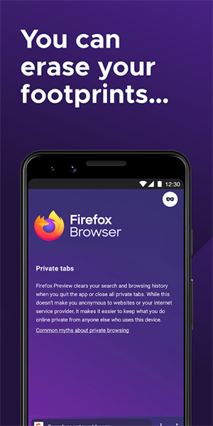 FirefoxBeta截图2