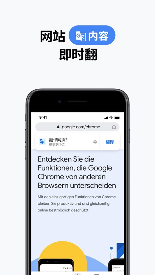 谷歌chrome浏览器截图2