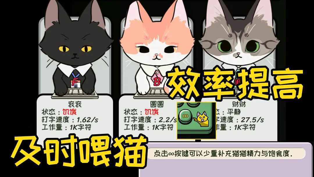 无限猫猫计划6