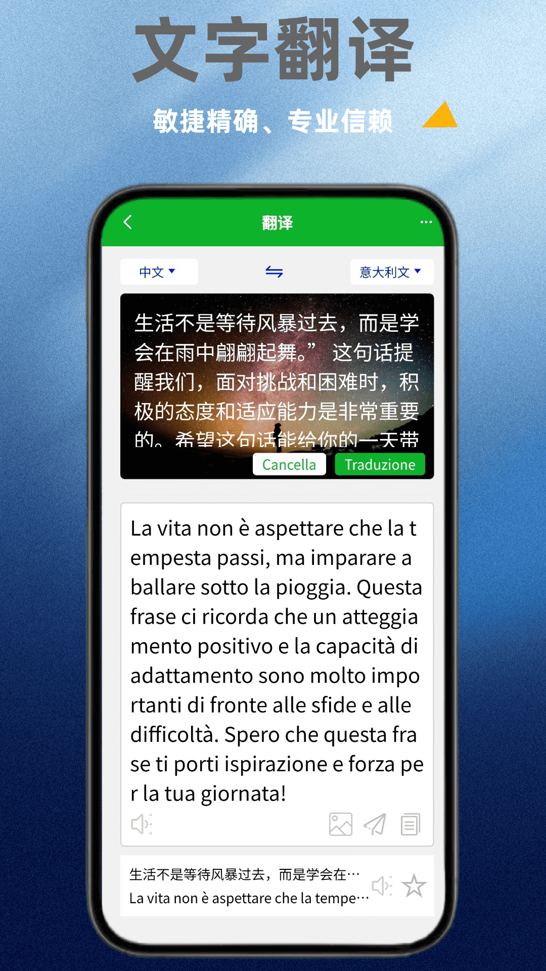 意大利语翻译通截图3