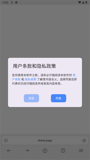 赛风浏览器截图4