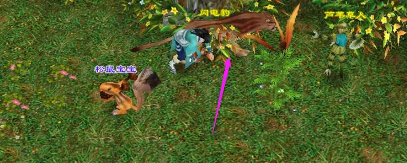 《天龍八部手游》蒲黃挖取方法