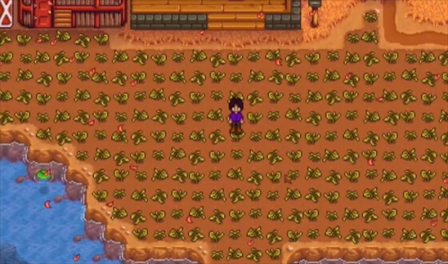 星露谷物語春天保地技巧