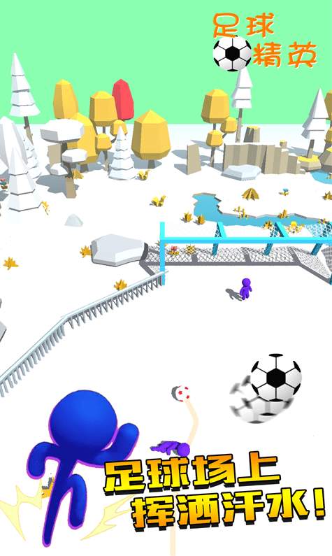 足球精英最新版截图