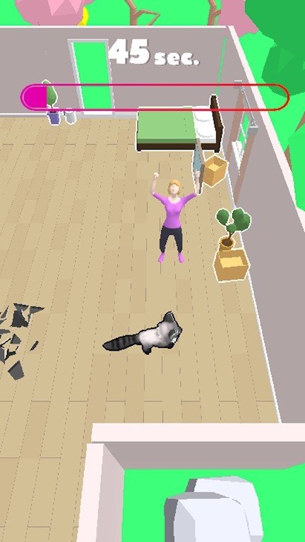 浣熊破坏房屋Bandinot截图