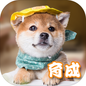 元气小狗官方版