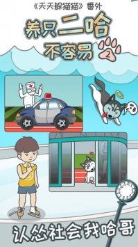 养只二哈不容易安卓版