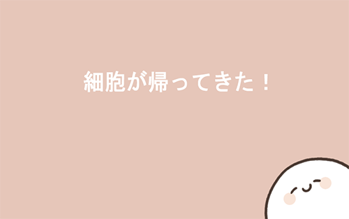 我的49天与细胞破解版