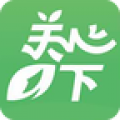 关心一下app健康管家版