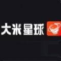 大米星球neflix