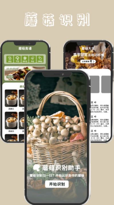 蘑菇识别高手app手机版3