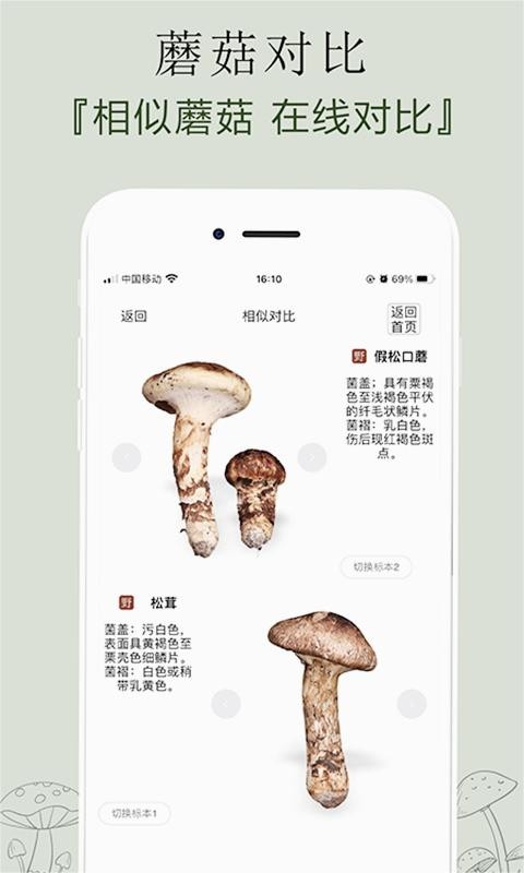 菌窝子app-1 菌窝子app