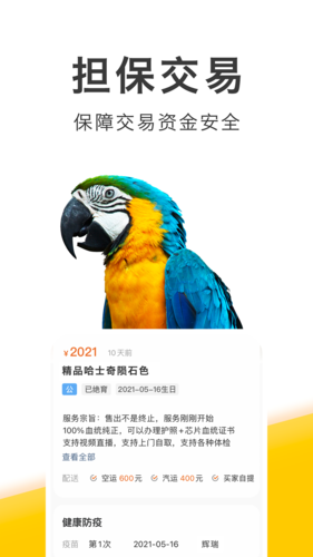 买只宠物安卓版2